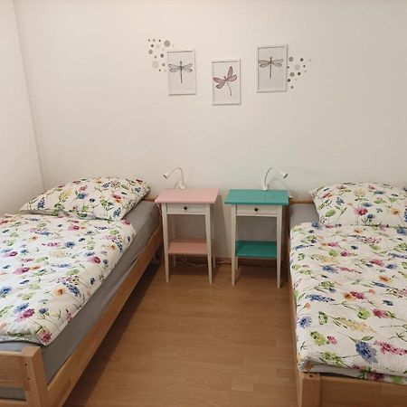 Grosse Ferienwohnung Am Waldrand Schonau  Kültér fotó