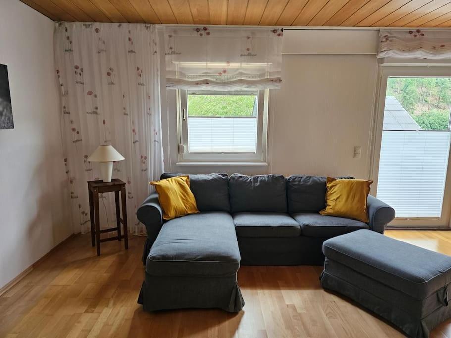 Grosse Ferienwohnung Am Waldrand Schonau  Kültér fotó